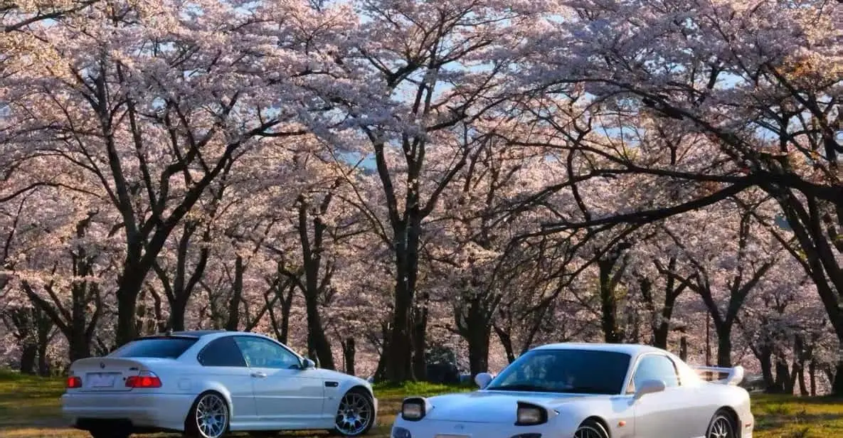 Tuned RX-7 and GT-R parked at the Daikoku PA rest area on a daikoku pa tour near Tokyo